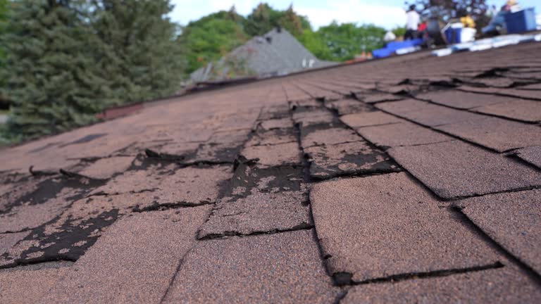 Best Sheet Metal Roofing  in Boulder, CO